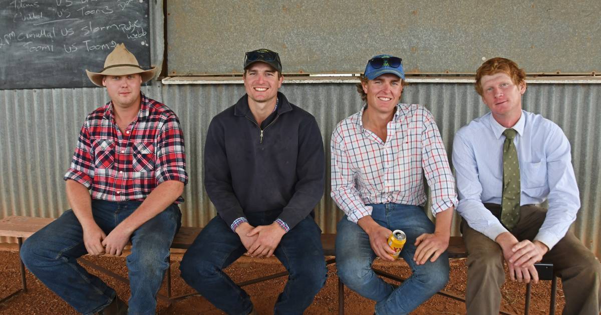 Faces of the 2022 Queensland state sheep show | Photos