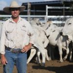 Merino ewes sold to $184 at Cooma