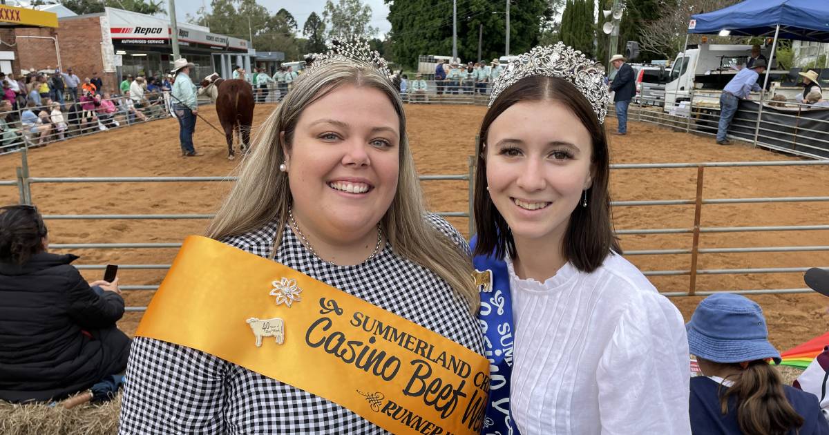 Casino Beef Week takes cattle parading and judging to the streets | The Land