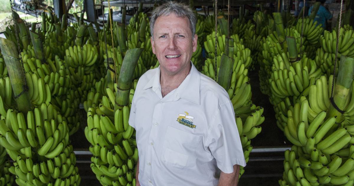 Australian Banana Growers' Council CEO to retire