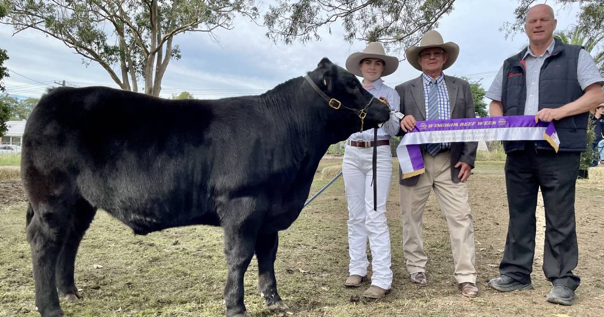 What school picked up the top led steer gong at Wingham Beef Week 2022? RESULTS AND PHOTOS