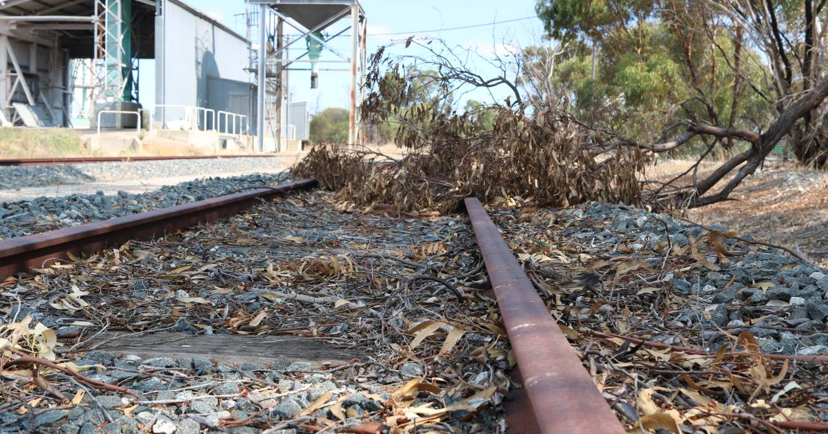 Tier 3 rail return is the solution to many challenges says WAFarmers | Farm Weekly