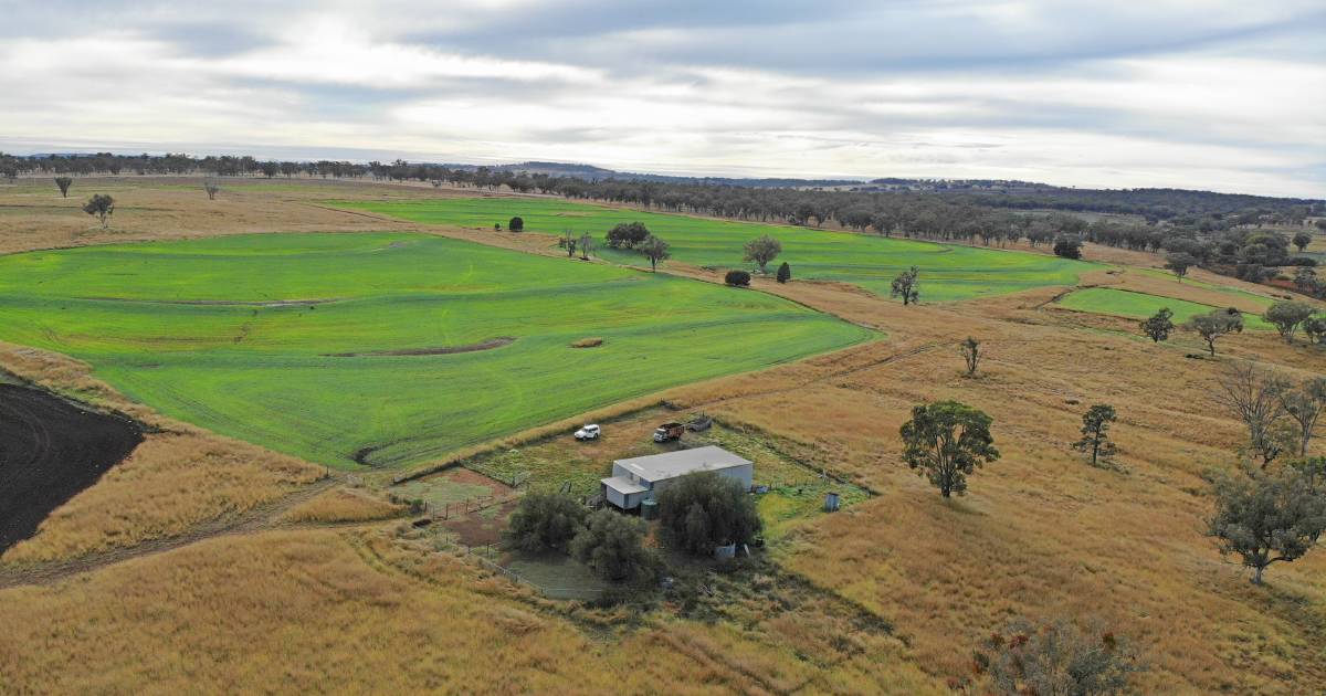 Chance to buy two neighbours