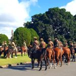 Dunedoo steers surge higher as winter takes hold