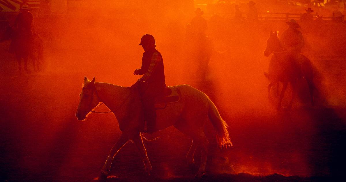 Competition on fire at Camooweal Campdraft