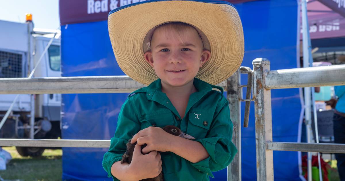 Hughenden Show proves quality over quantity matters most