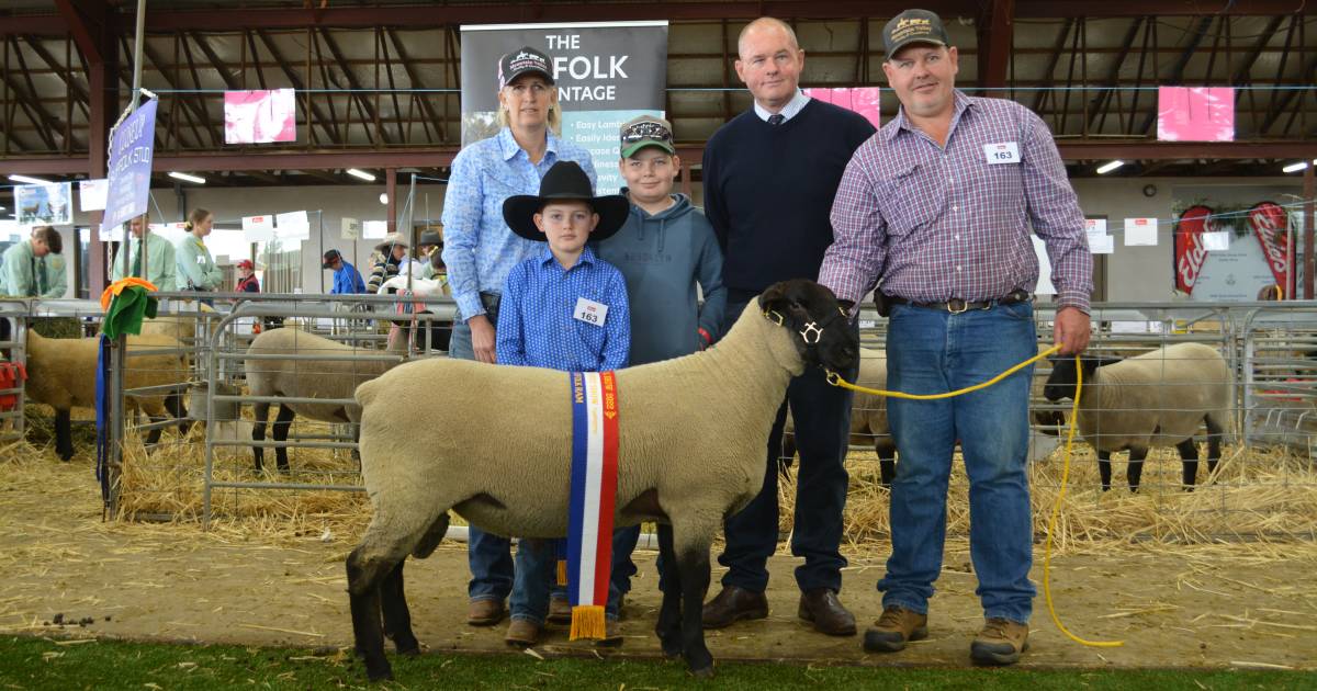 NSW State Sheep Show 2022: Day two results | The Land