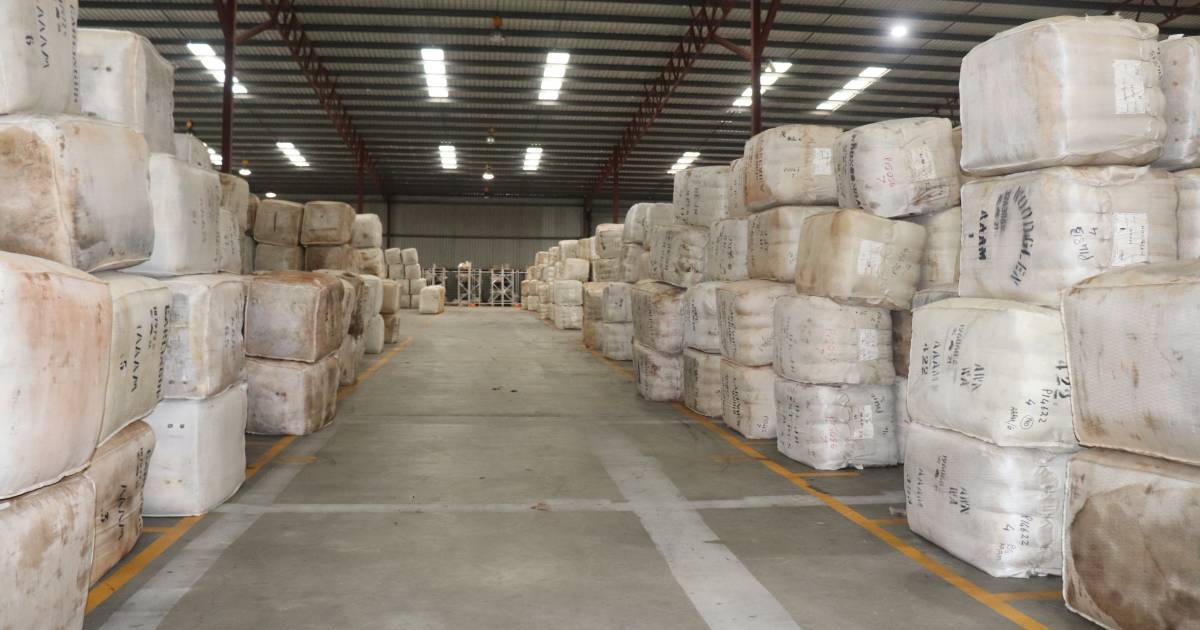 Wool exporters and processors deal with extended eight-week cycle | Farm Weekly