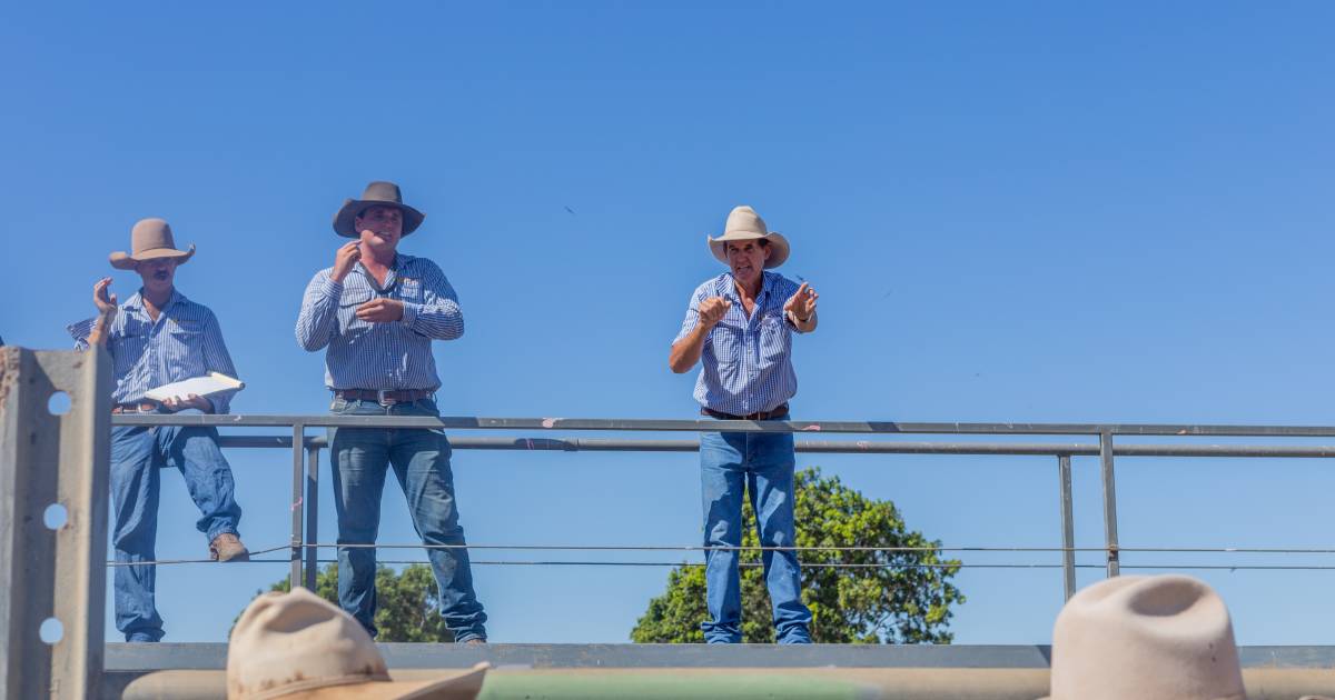 Mareeba stock agent hangs up his hat after two decade career