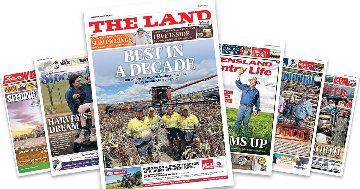 Digital subscribers get access to seven mastheads