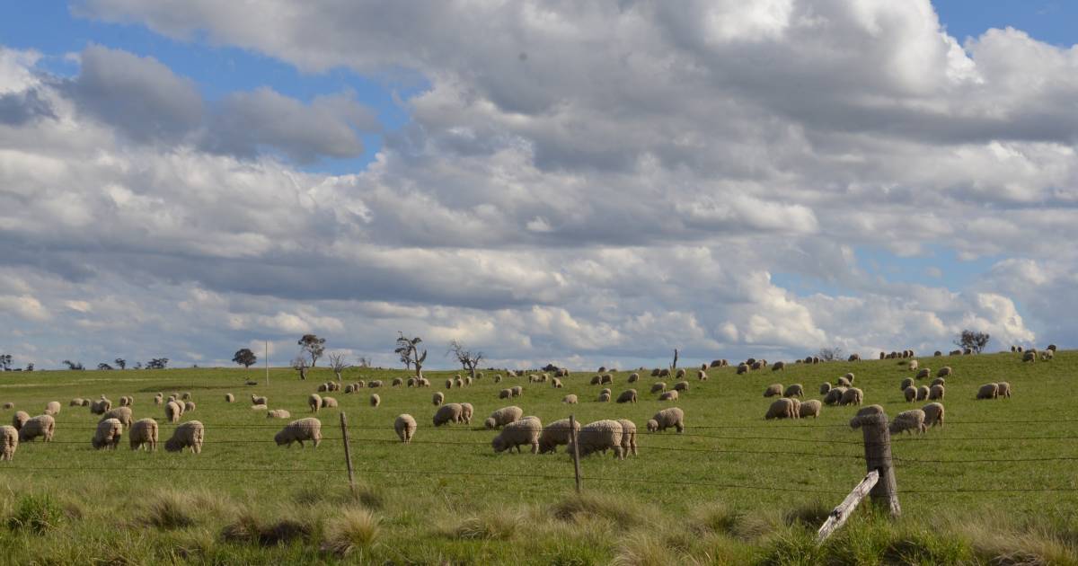 2022 Pasture Research UpdateWagga and Whitton – 1 & 2 June