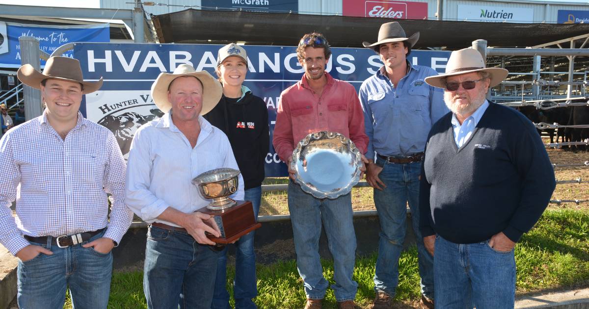 Angus cows and calves to $5050 at Scone sale | The Land