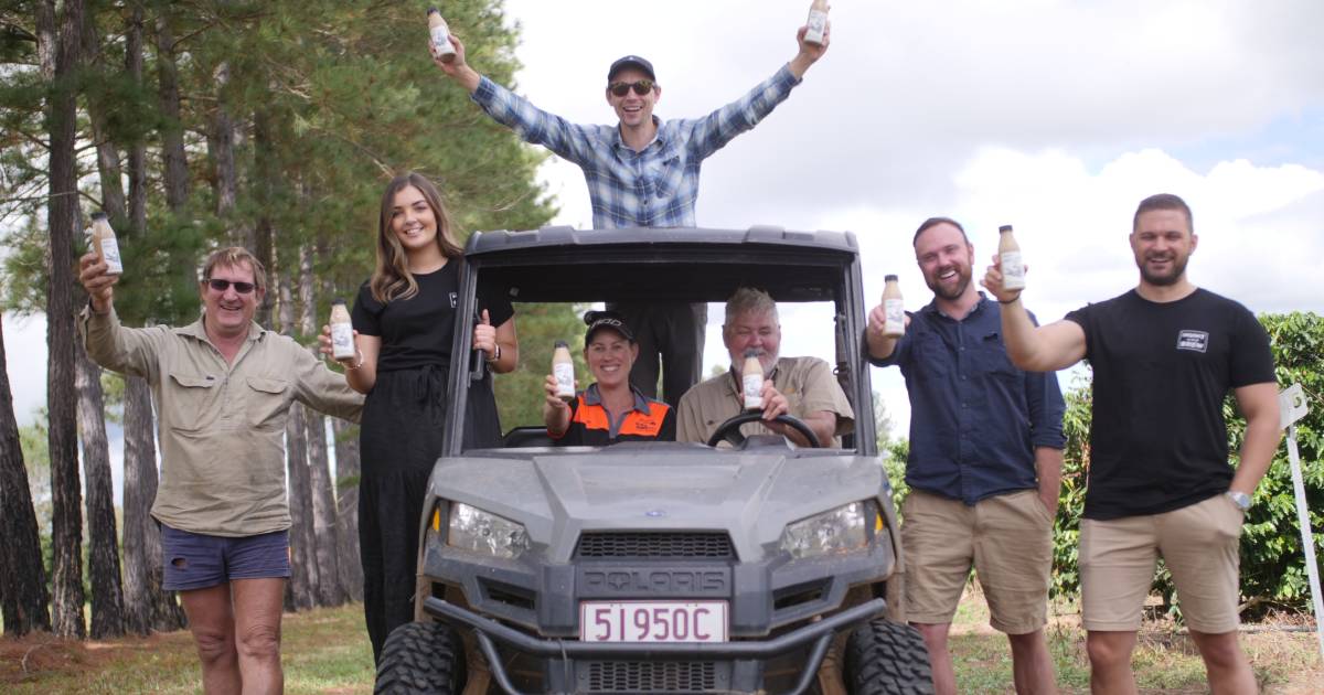 Expect to taste these Tablelands grown coffee beans in a new national cold brew product