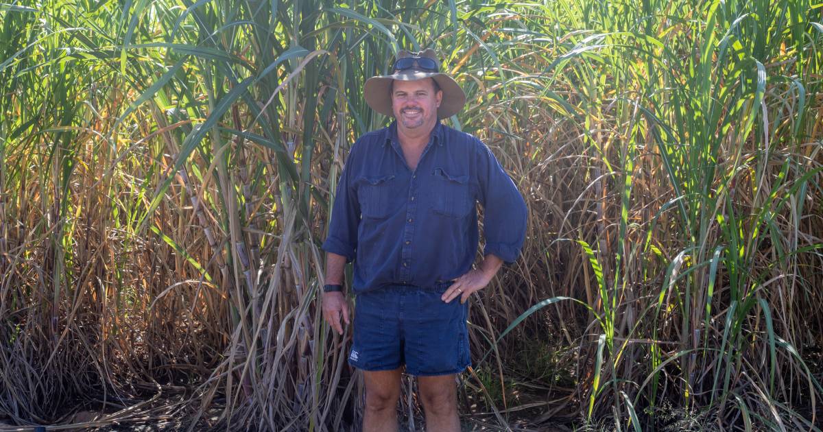 Burdekin-based sugarcane grower Owen Menkens elected as new Canegrowers chairman | North Queensland Register