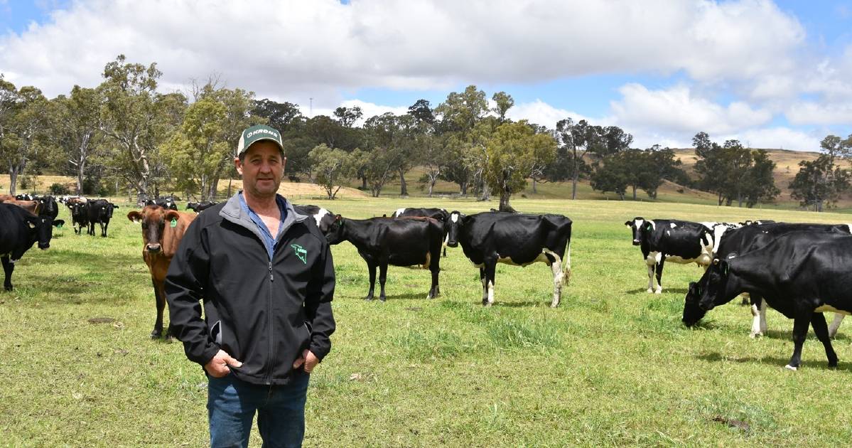 Australian dairy sector experiencing a chronic shortage of labour | The Land