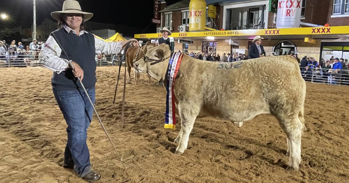 Tookawhile Charolais gets the judge’s nod during Casino Beef Week led steer competition | The Land