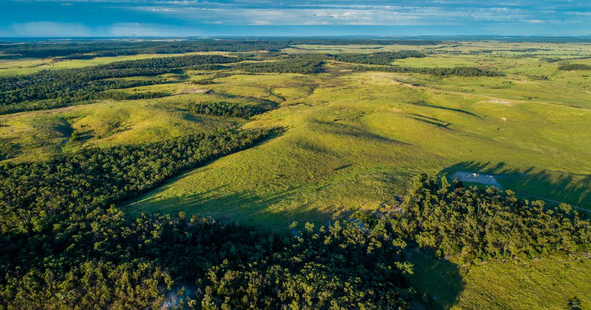 Some of Qld's best cattle country just hit the market | Video