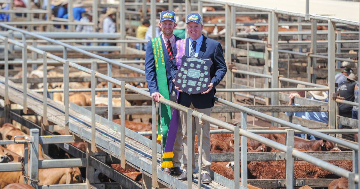 Young auctioneers state final set to stay in the regions