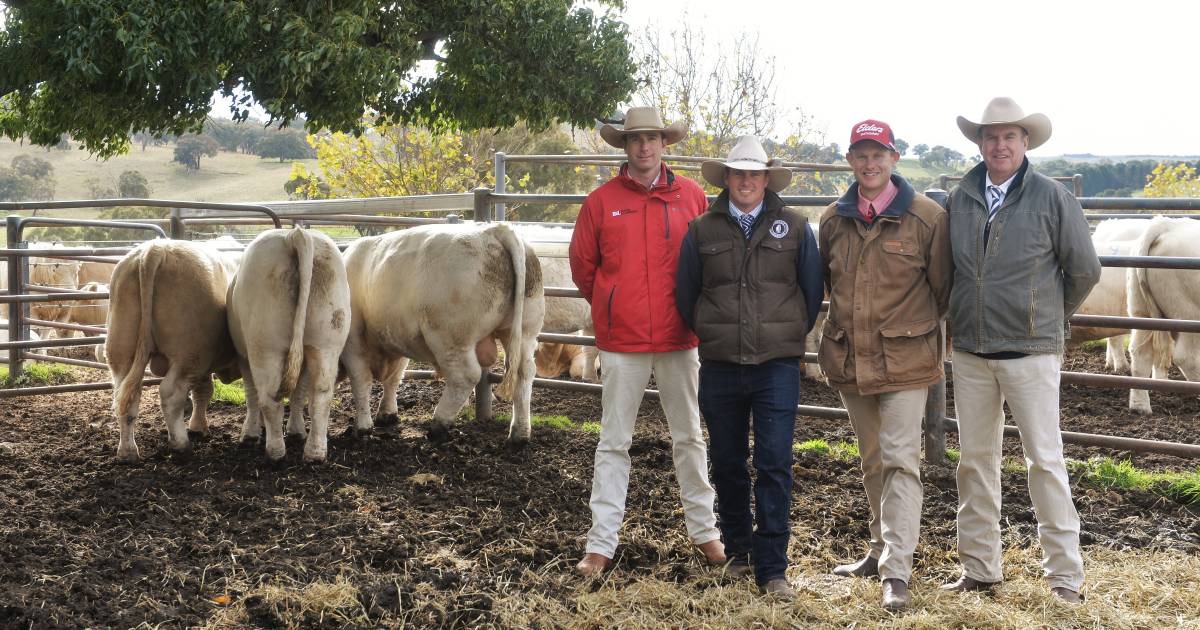 Rosedale Charolais hits top price three times | The Land