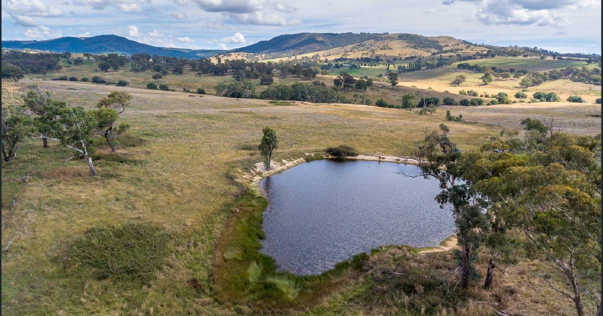 Five NSW farmland sales in a week show few interest rate jitters