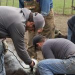 Soaring costs will ‘finish off’ some fruit, veg growers this year, fellow producers say | Queensland Country Life