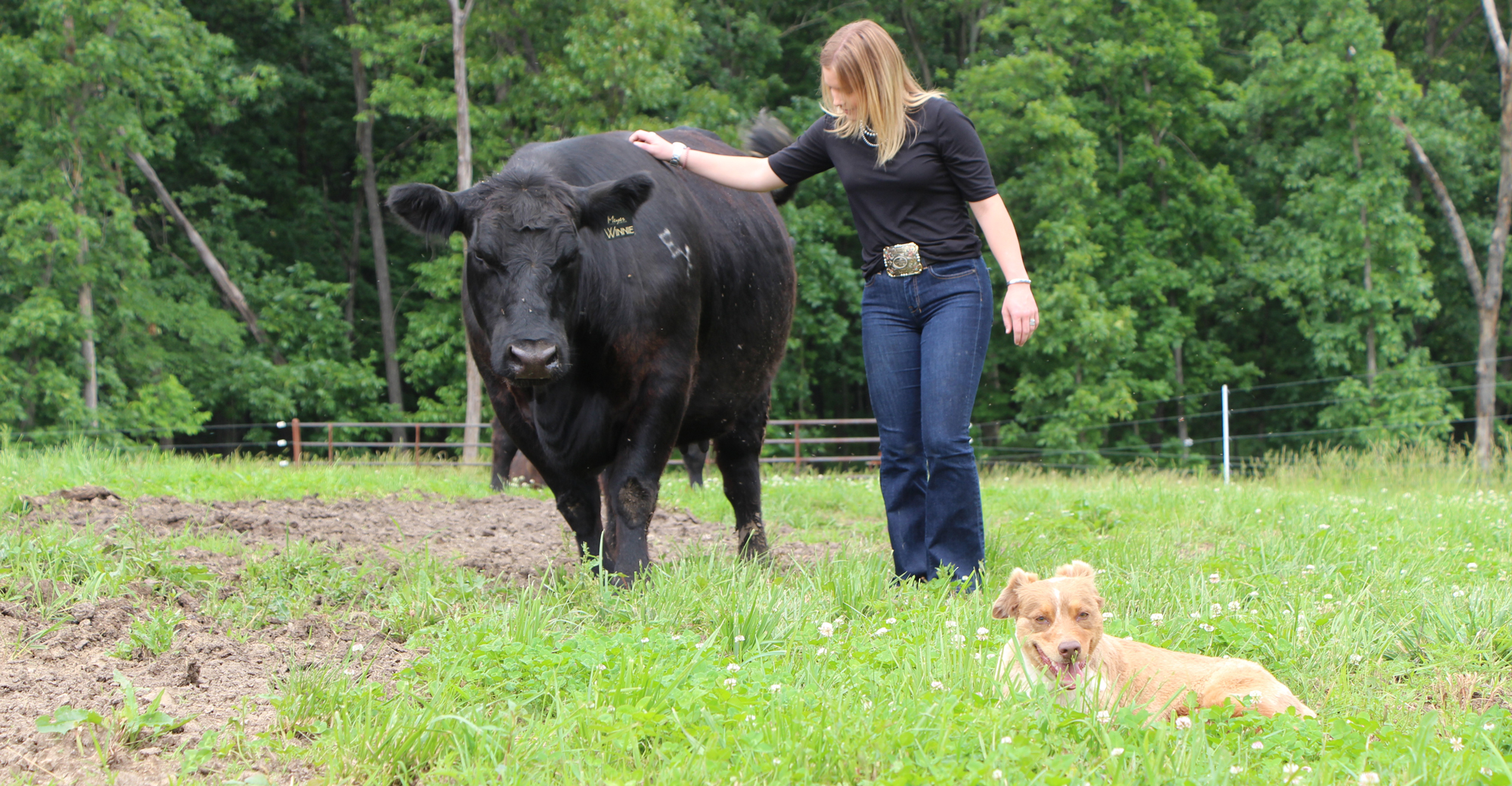 Missouri FFA Star Farmer finds success in beef cattle business