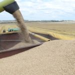 Feedgrain Focus: Prices moves mixed and moderate