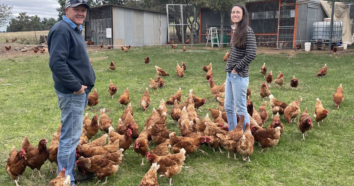 The journey to buy a farm for this young couple near Wagga Wagga | The Land