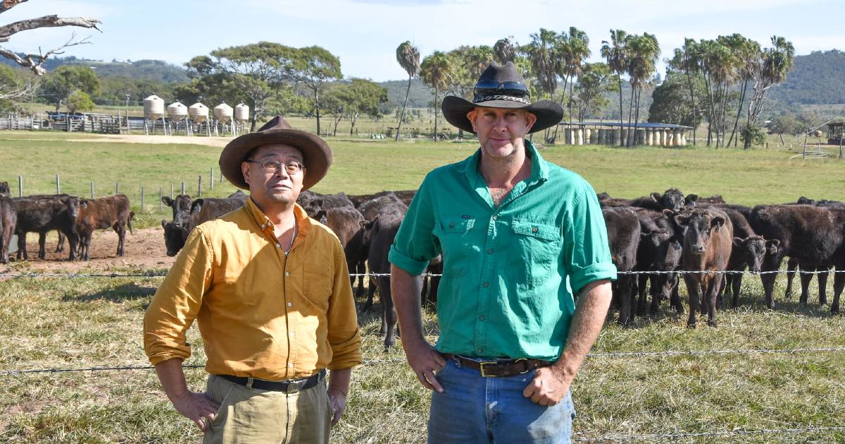 Iwasaki growing Qld's new top Wagyu brand