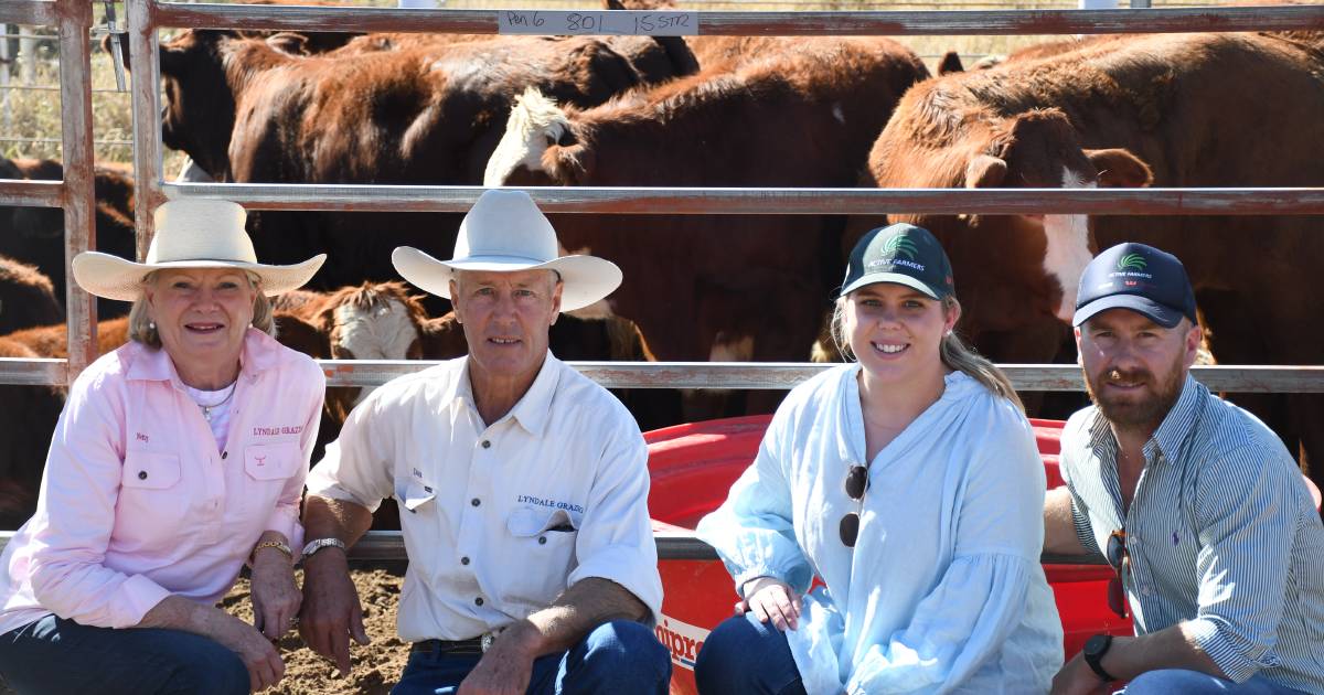 Injune centenary cattle sale showcases district’s rich grazing heritage | Queensland Country Life