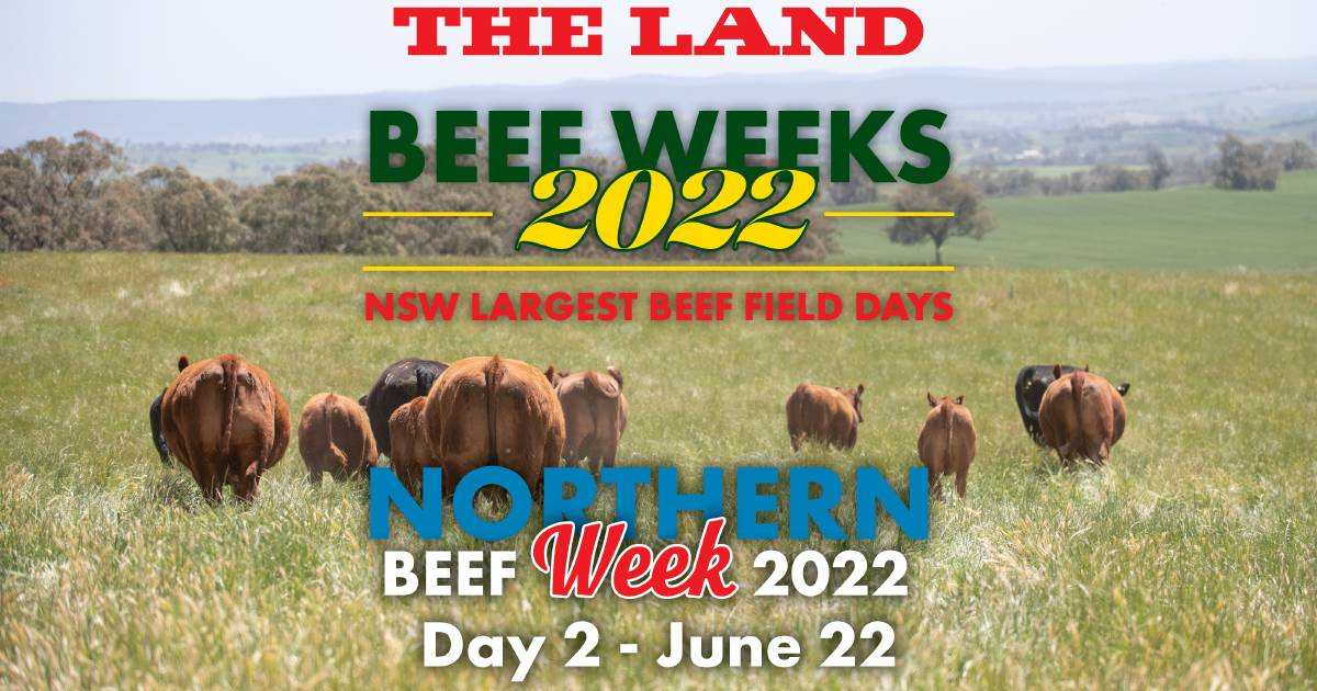 The Land Northern Beef Week day two underway in New England | The Land