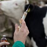 Rehydrating far western rangelands