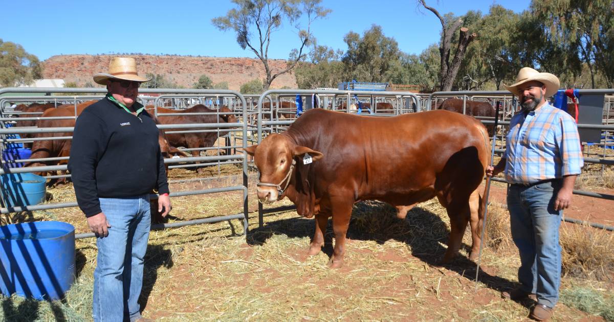 NT showgoers bursting with excitement