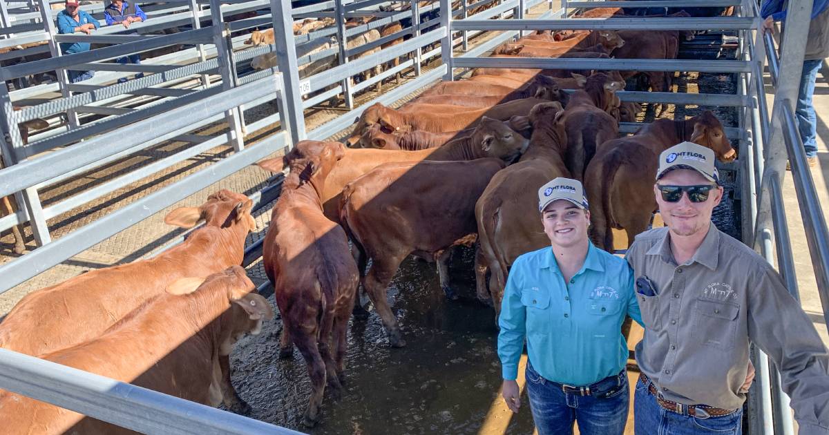 Silverdale weaner sale one of the biggest on record