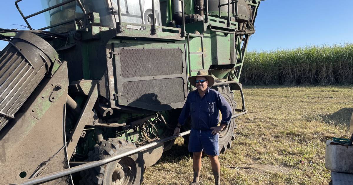 Burdekin growers sweet start to sugar harvest