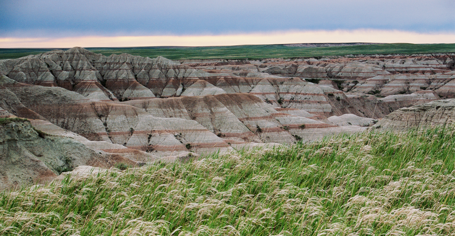 Stockgrowers share optimism about proposed beef plant