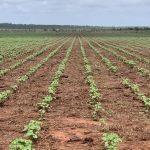 Beer judging kicks off Royal Agricultural Society of WA’s Perth Royal Food Awards. | Farm Weekly