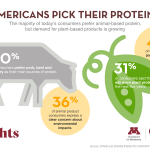 Beef Business Foundations: Understanding Calf Price Differentials