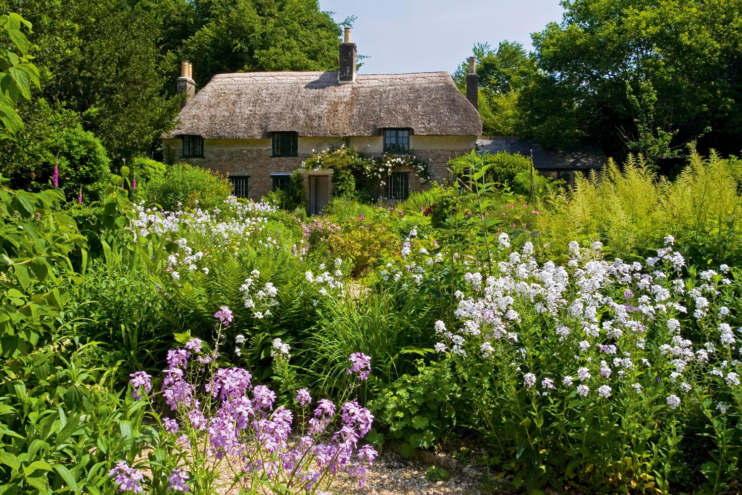 Thomas Hardy’s Wessex vs the real-life Dorset: Which bits are real, which dreams, and which are exact to the last stream and stile