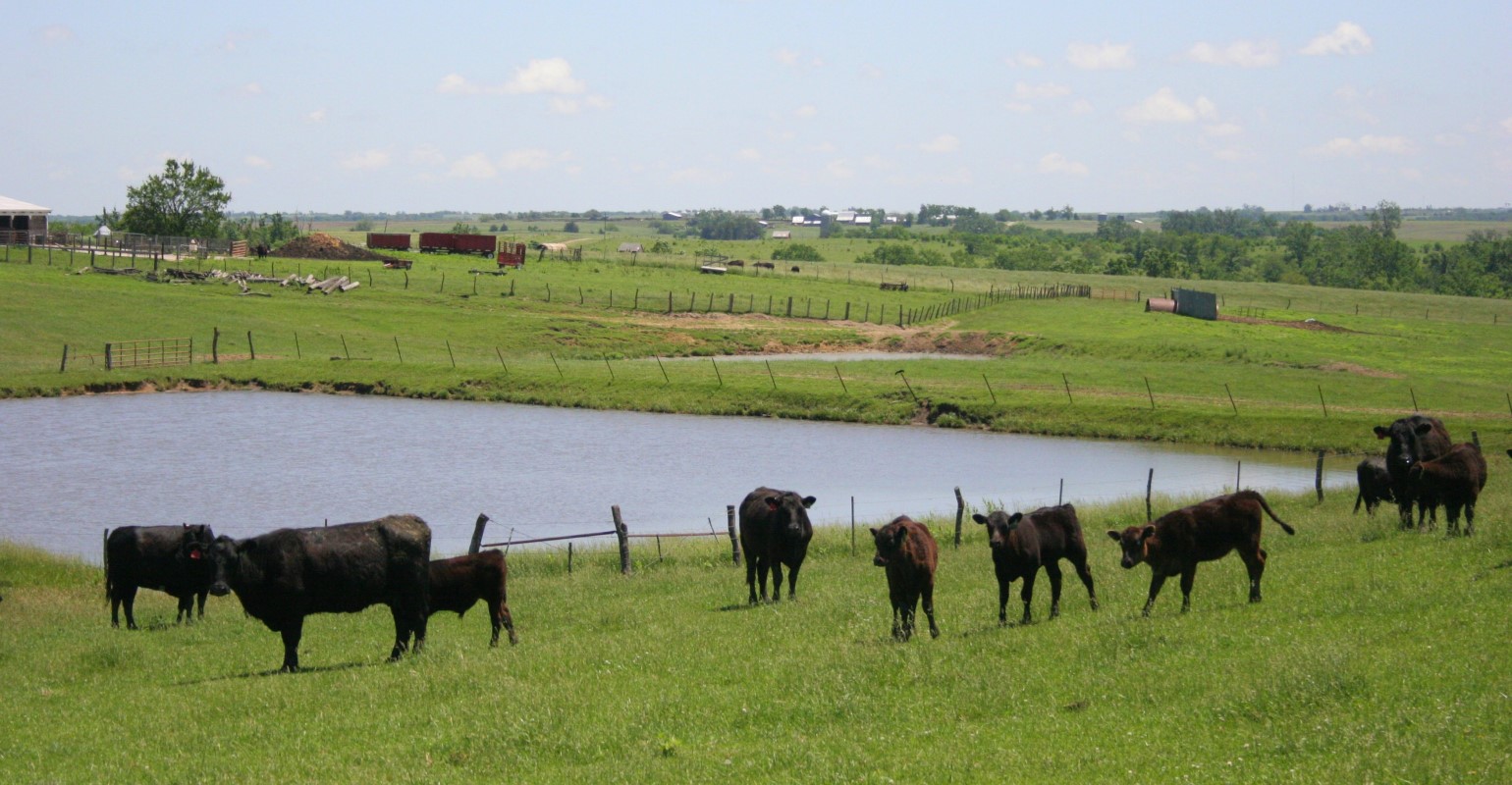 WOTUS roundtable features cattle producers’ thoughts