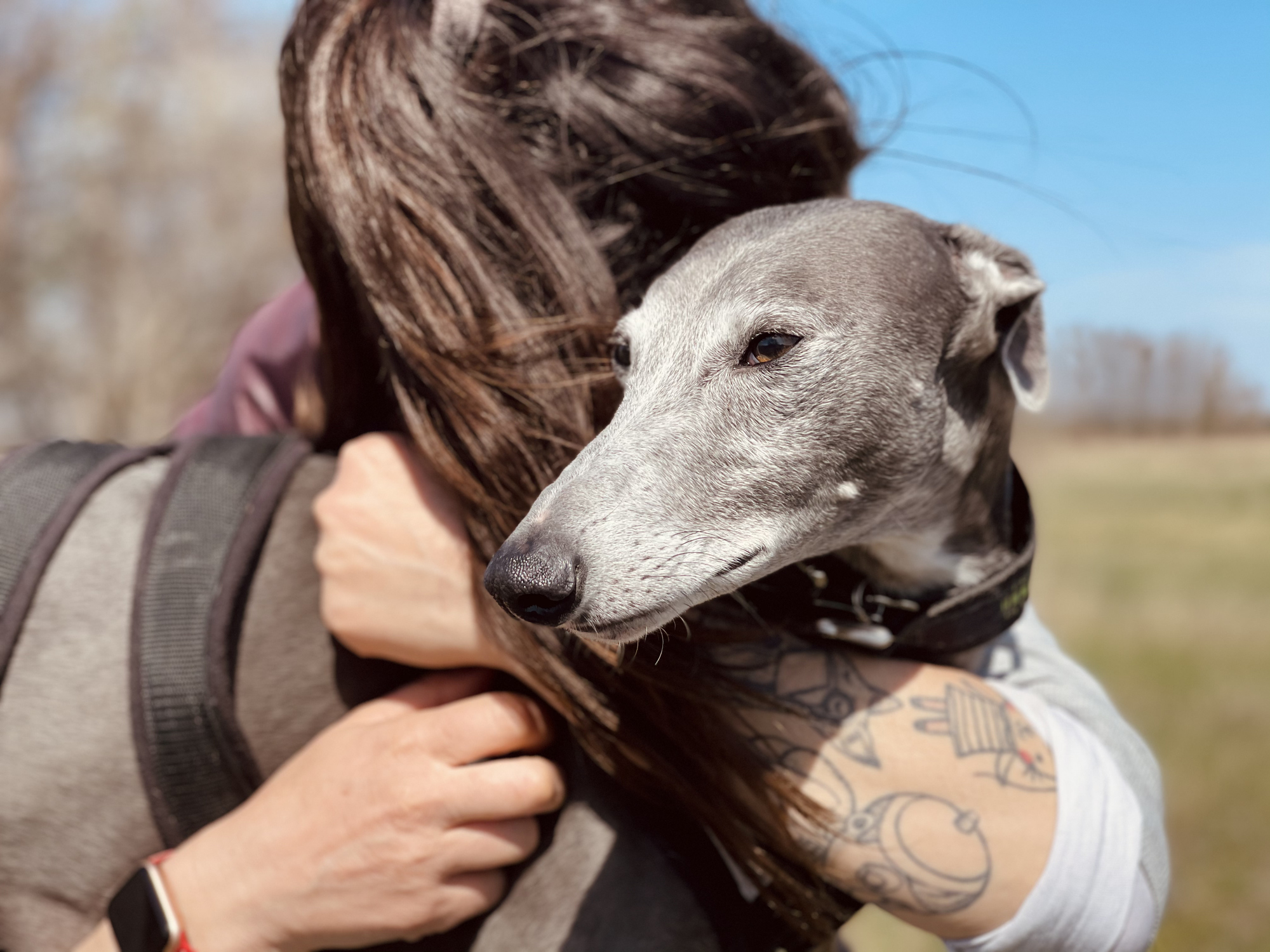 How to help a dog who’s scared of going places in the car, by expert trainer Ben Randall