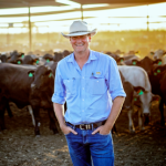 Toogoolawah weaner steers to $2090 | Pictures