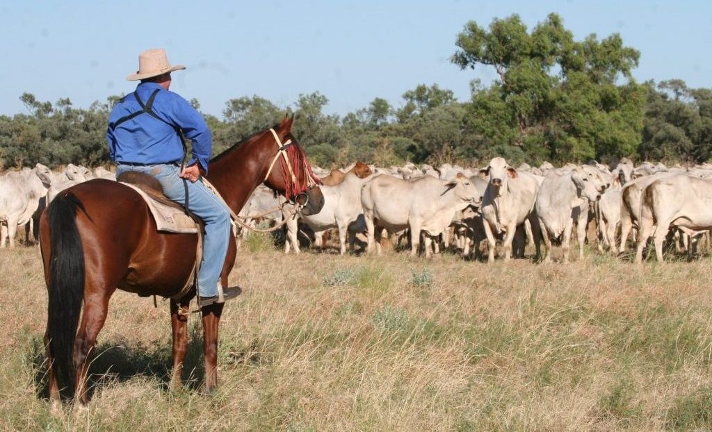 Recruitment: Six ways to attract more people to careers in ag