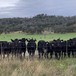 Why we need to get totally active about measuring soil carbon | Queensland Country Life