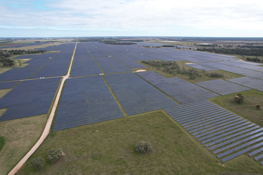 Hewitt Cattle to put 539ha solar farm rental income on the market