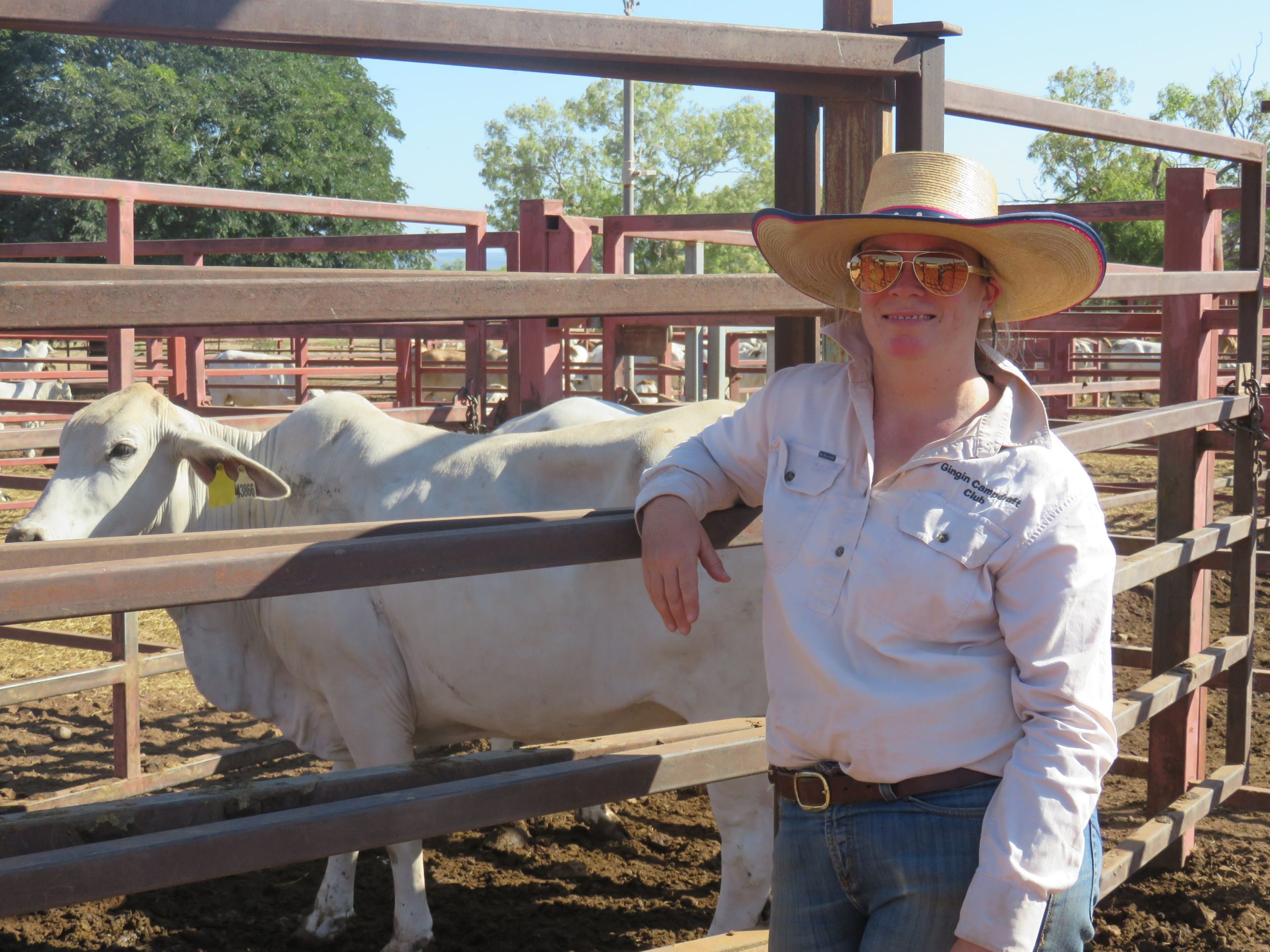 Genetics project to lift performance of northern cattle herd