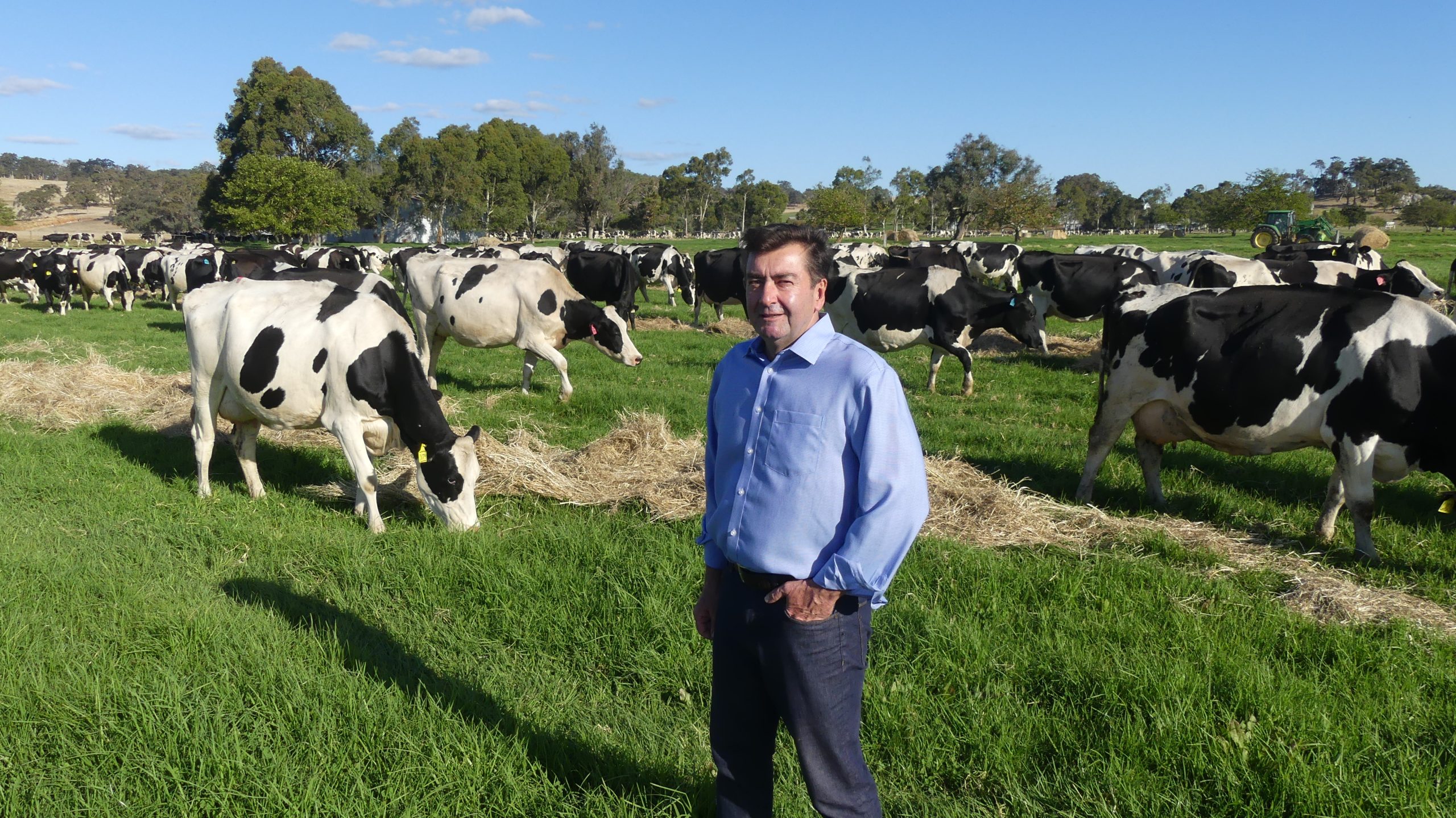 $650,000 grant to commercialise methane-busting livestock feed supplements