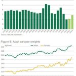 Why you shouldn't worry about June rainfall