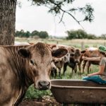 One-on-one with former opposition leader and defence minister Kim ‘Bomber’ Beazley | Farm Weekly