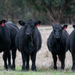 Using stockpiled forage to combat fuel prices